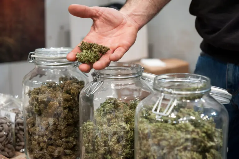 Sativa vs. índica: características, diferencias y efectos secundarios