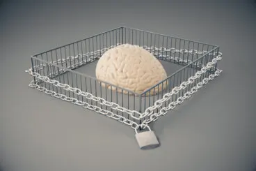 ¿Qué son los estándares inflexibles?