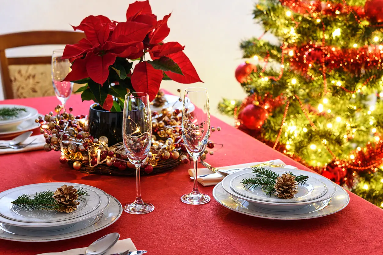 Decorar tu casa en Navidad con flores de Pascua.
