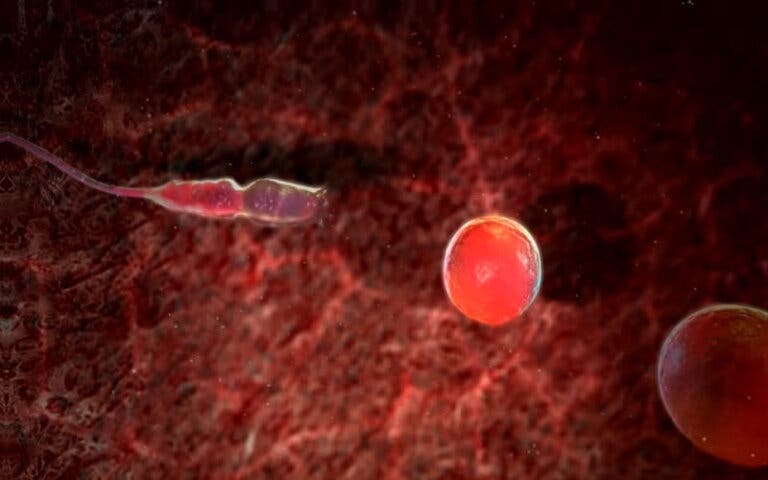 Desarrollan técnica que podría permitir a los padres elegir tener niño o niña