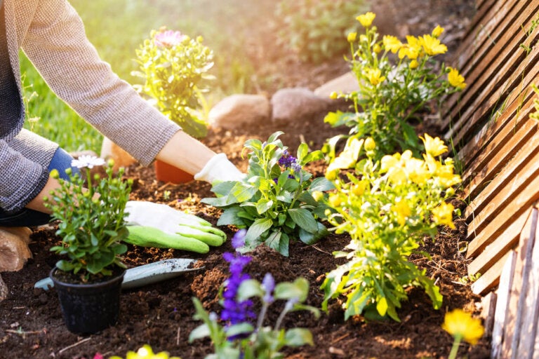 10 plantas invasoras que pueden dañar tu jardín