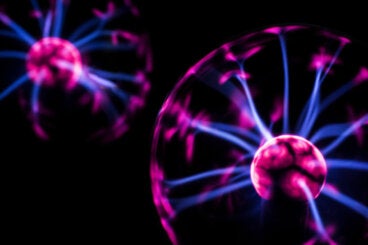 ¿Qué son las neuronas espejo?