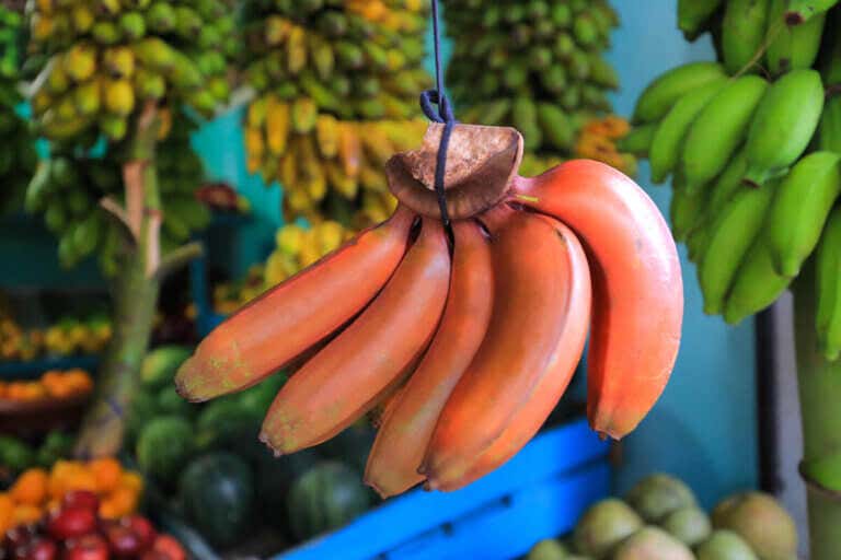 Plátano rojo: ¿cuáles son sus beneficios?
