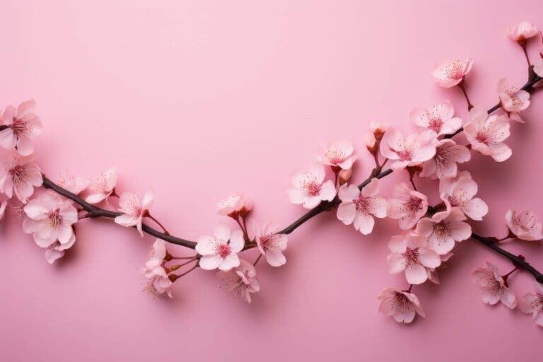 ¿Qué significa el color rosa?
