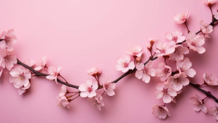 ¿Qué significa el color rosa? - Mejor con Salud