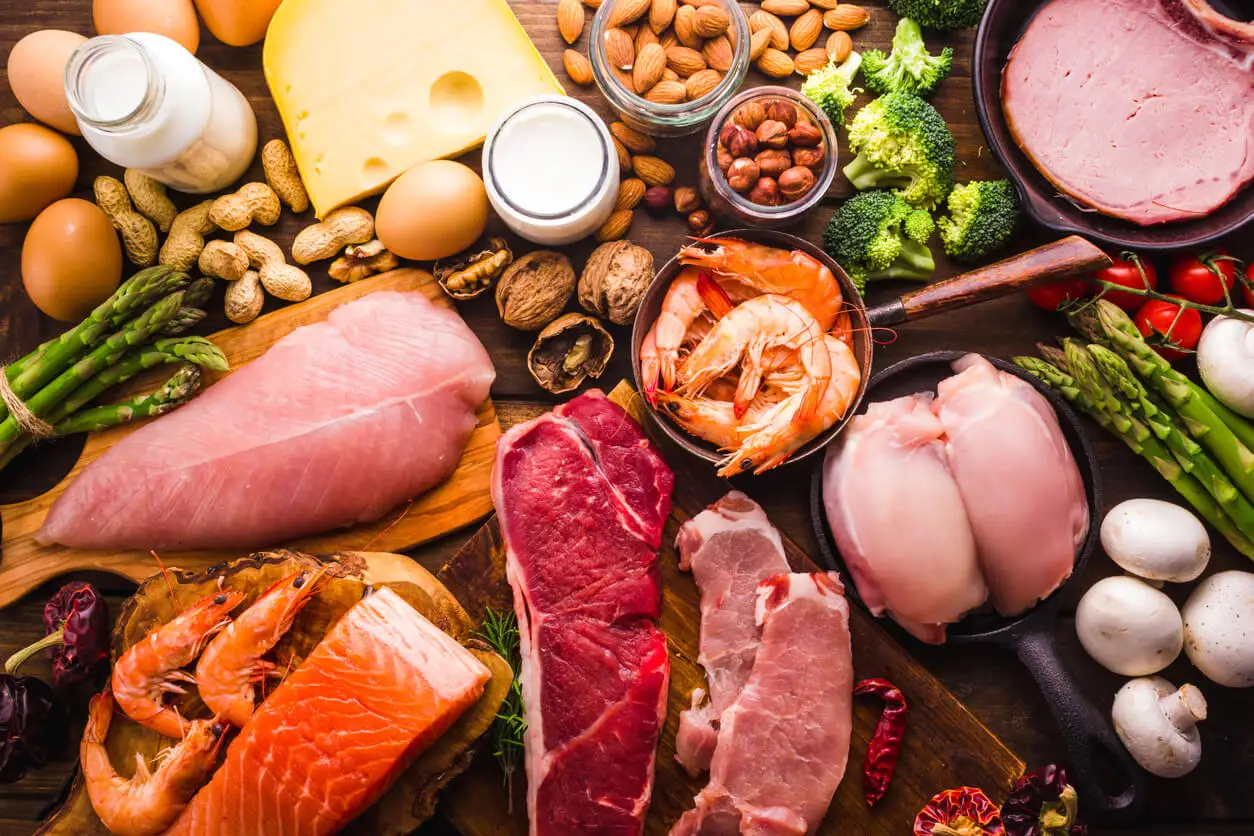 Alimentos deliciosos y ricos en proteínas.