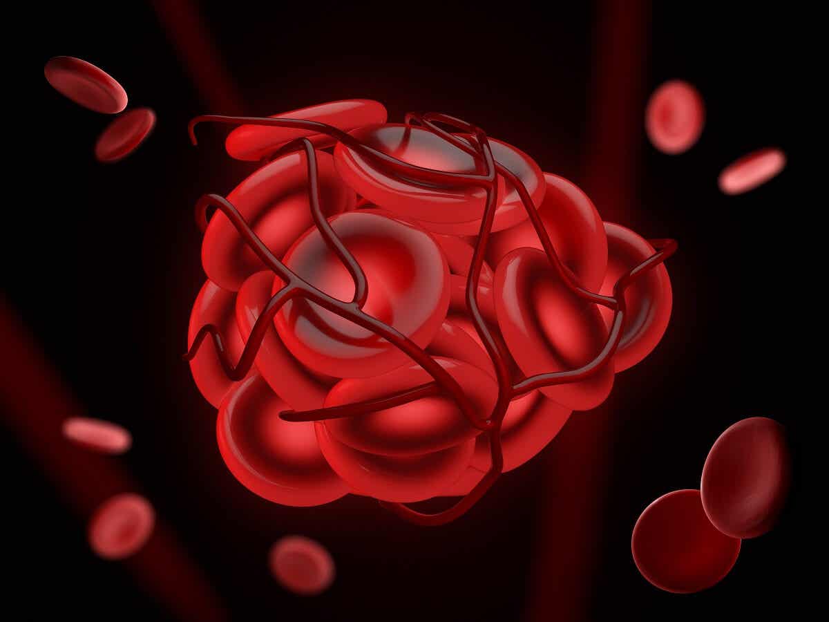 Fibrinogen - Nahaufnahme Blutkörper