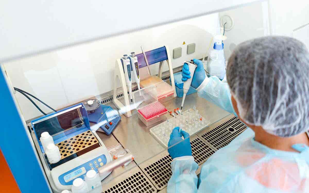 Principales riesgos asociados a la biotecnología
