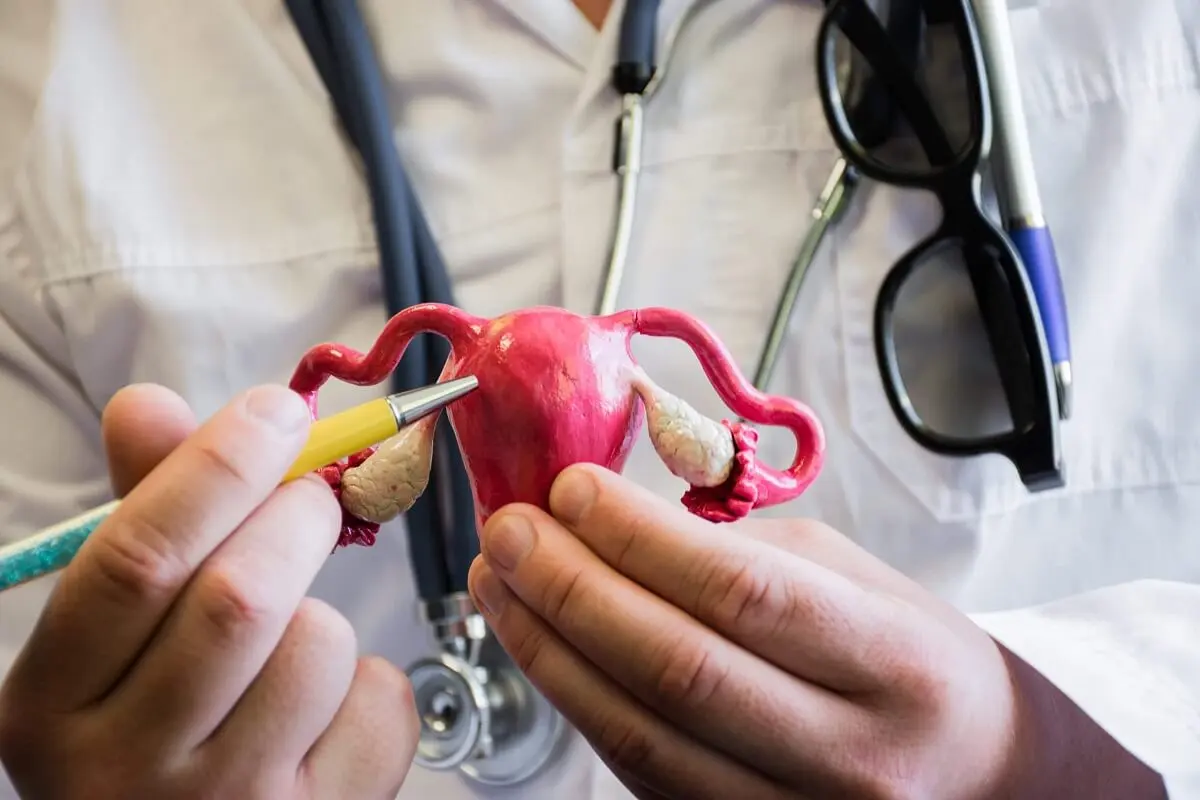 Todo lo que hay que saber sobre la salud del útero