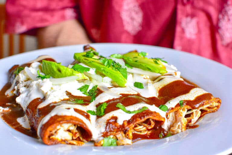 Receta de enfrijoladas veganas: ricas y saludables