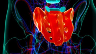 Nervios sacros o nervios raquídeos sacros