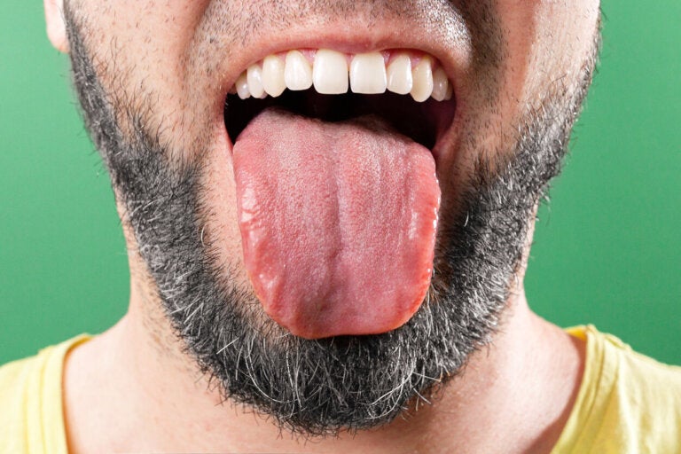 8 curiosidades sobre la lengua