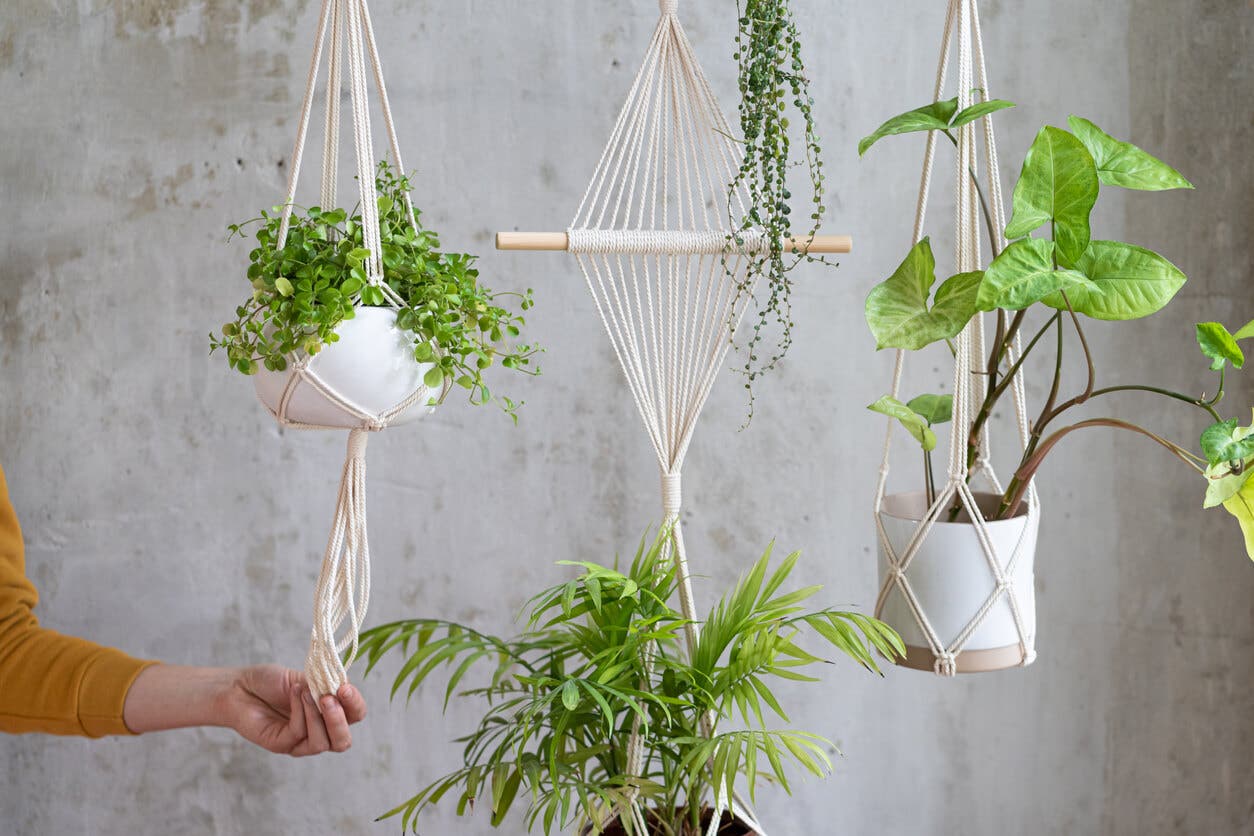 Macetas colgantes con macramé.
