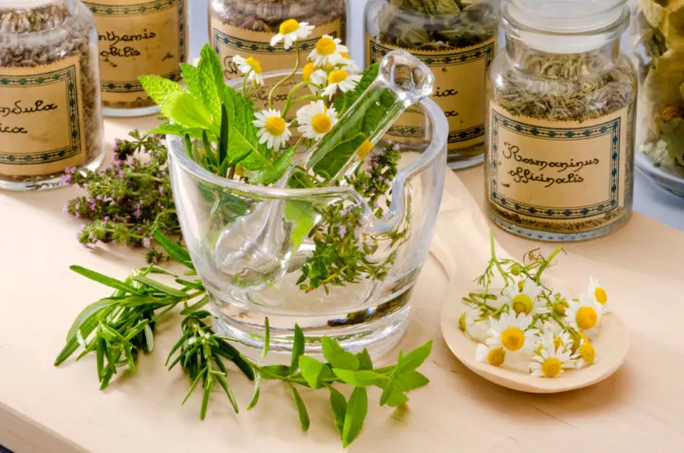 ¿Cuáles son las desventajas de la medicina natural?