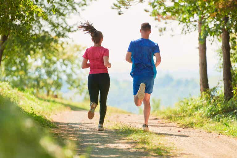 Causas del dolor de rodilla al correr y ejercicios recomendados