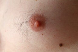 pezon 14 curiosidades sobre los pezones femeninos y masculinos - Mejor con Salud
