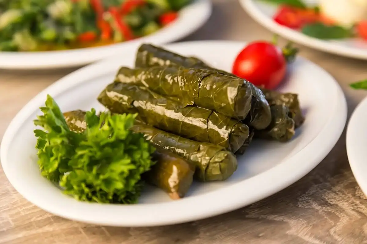 Hoja de parra