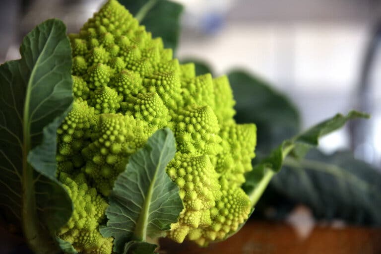 5 formas fáciles de preparar romanesco