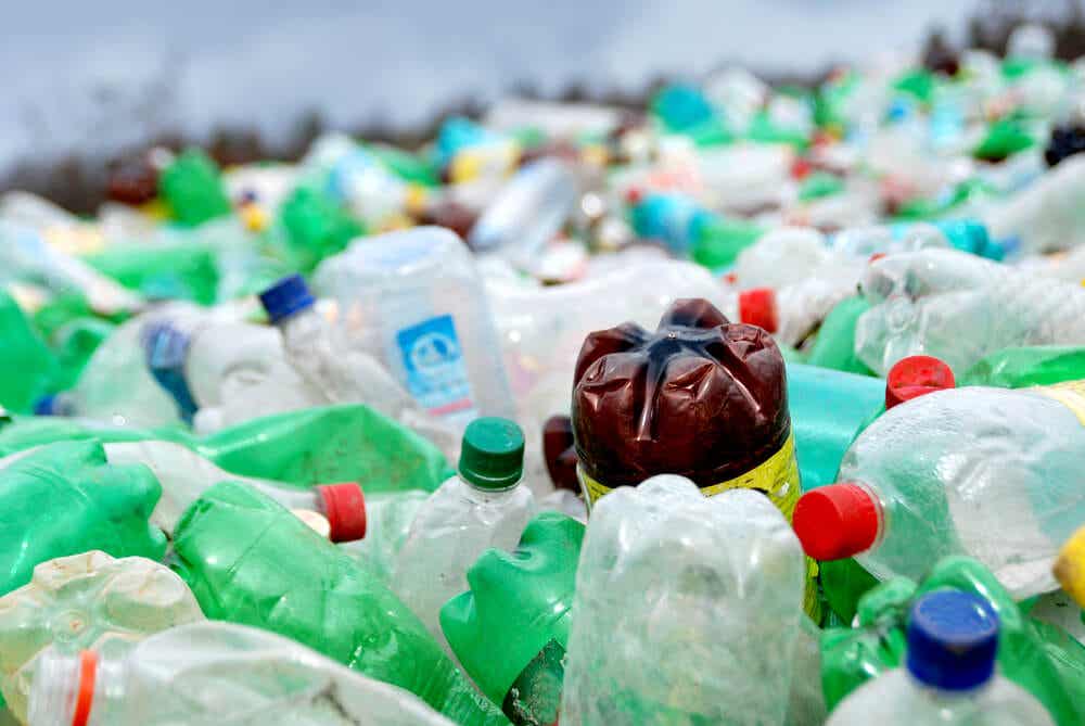 Contaminación con plástico