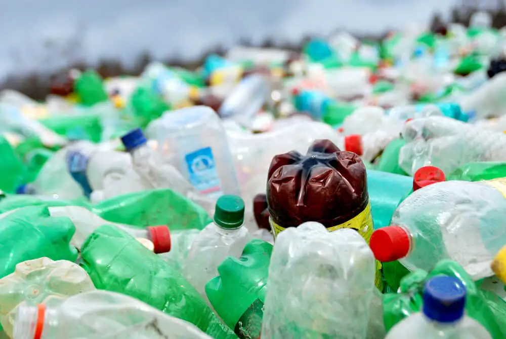 pollution plastique