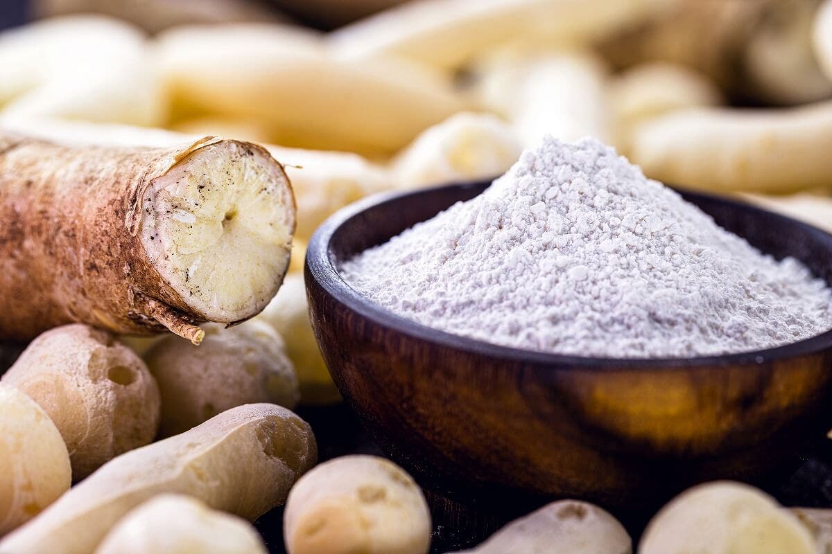 Qu'est-ce que l'amidon ?