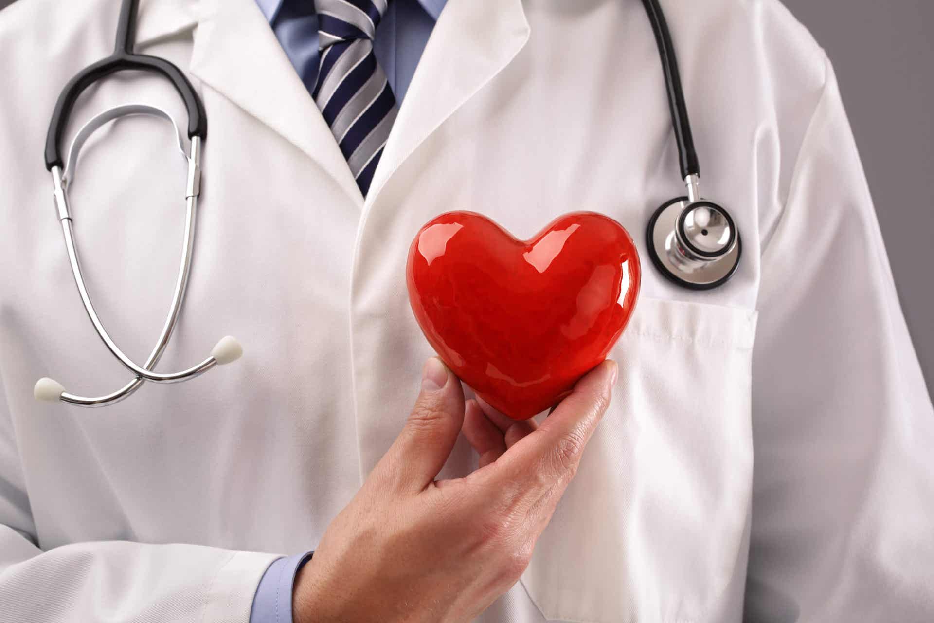 Corazón sujetado por un cardiólogo. 