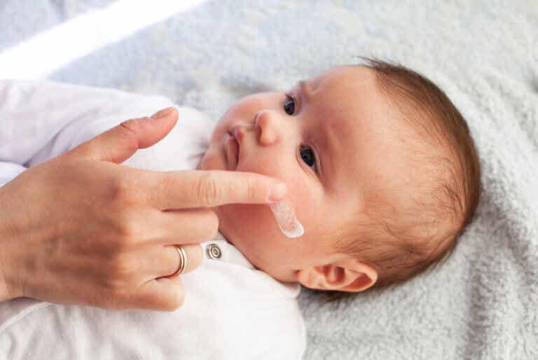 Cuidado de la piel del bebé: ingredientes a evitar en cosméticos