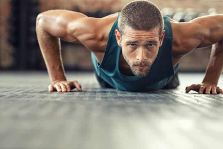 6 principios del crecimiento muscular que debes conocer