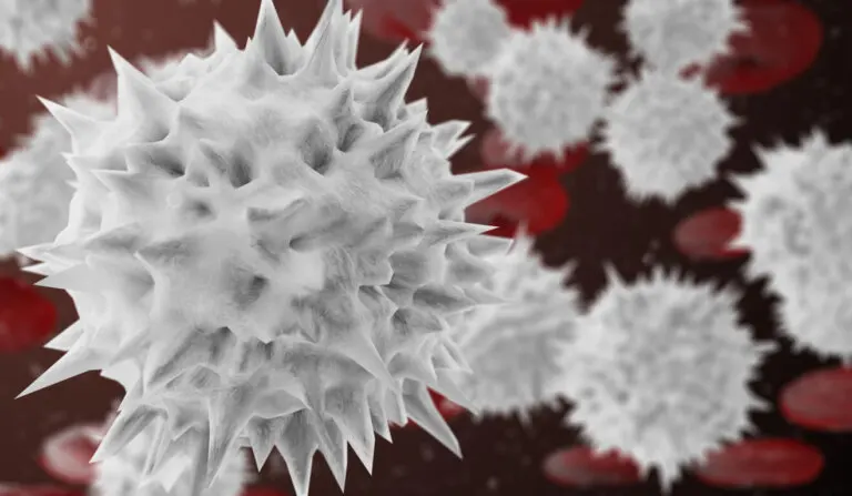 Neutrófilos segmentados: ¿qué son y cuándo se alteran?