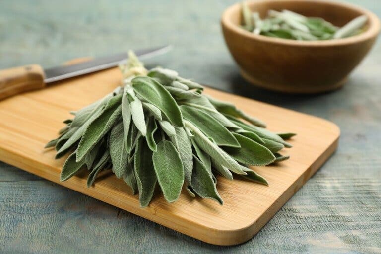 ¿Cómo se puede utilizar la salvia en la cocina?