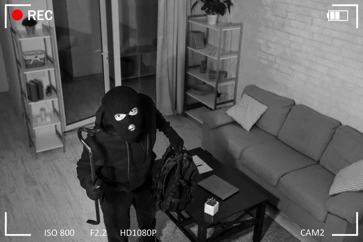 Ladrón entra a robar una casa.