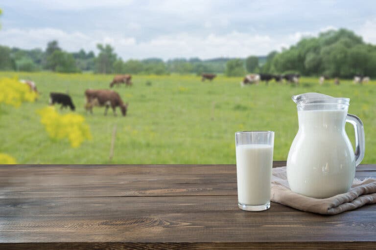 Beneficios de la lactoferrina
