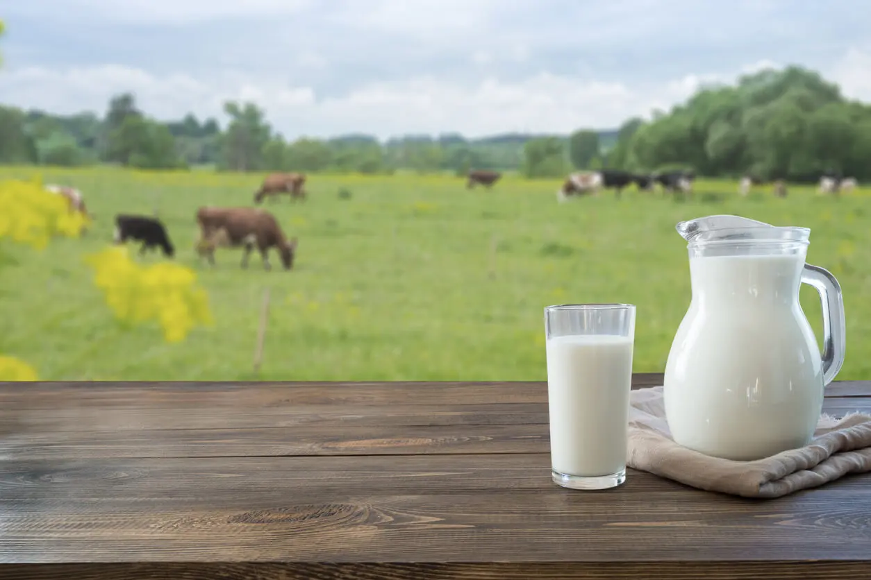 Riesgos de beber leche