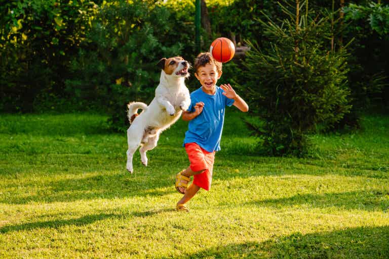 Ventajas y riesgos de las mascotas en el desarrollo de los niños