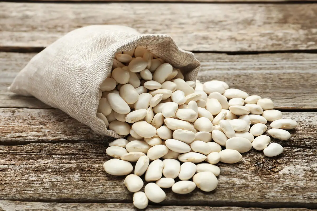 Información nutricional del frijol de Lima o habas mantequilla
