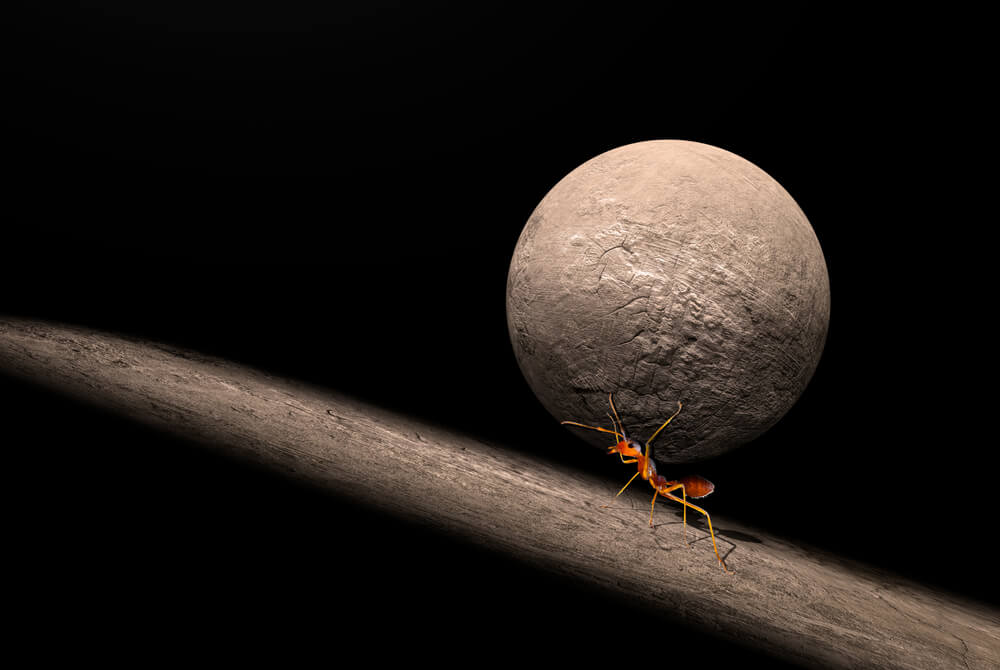 La parábola de la hormiga