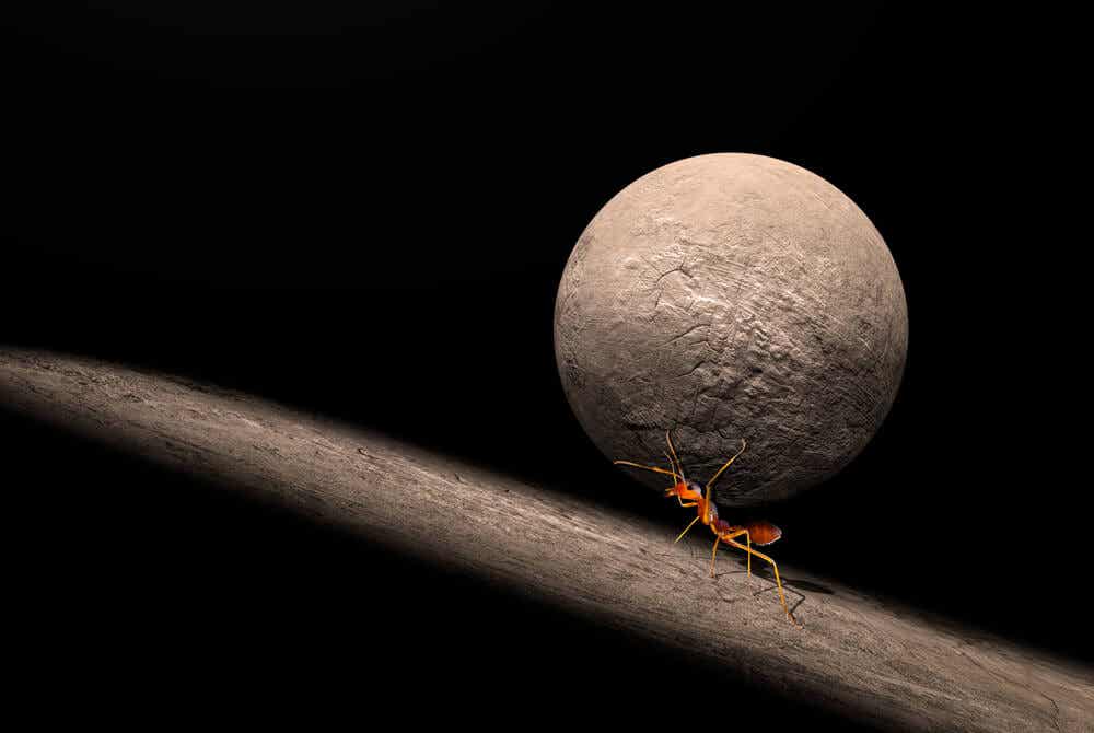 La parábola de la hormiga