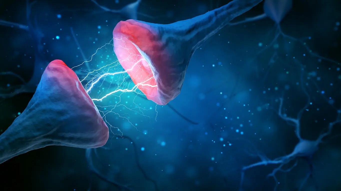 Neuronas y mente como fenómeno del emergentismo.
