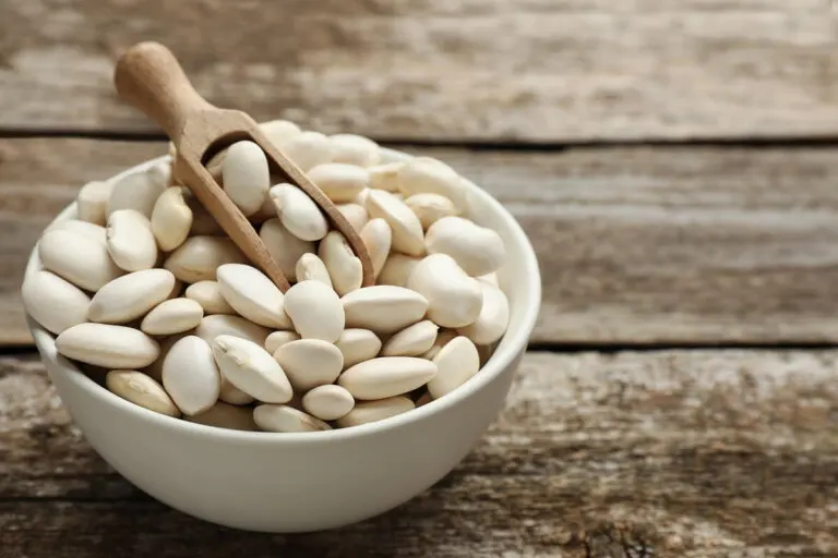 Frijol de Lima o habas mantequilla: nutrición, usos y preparación