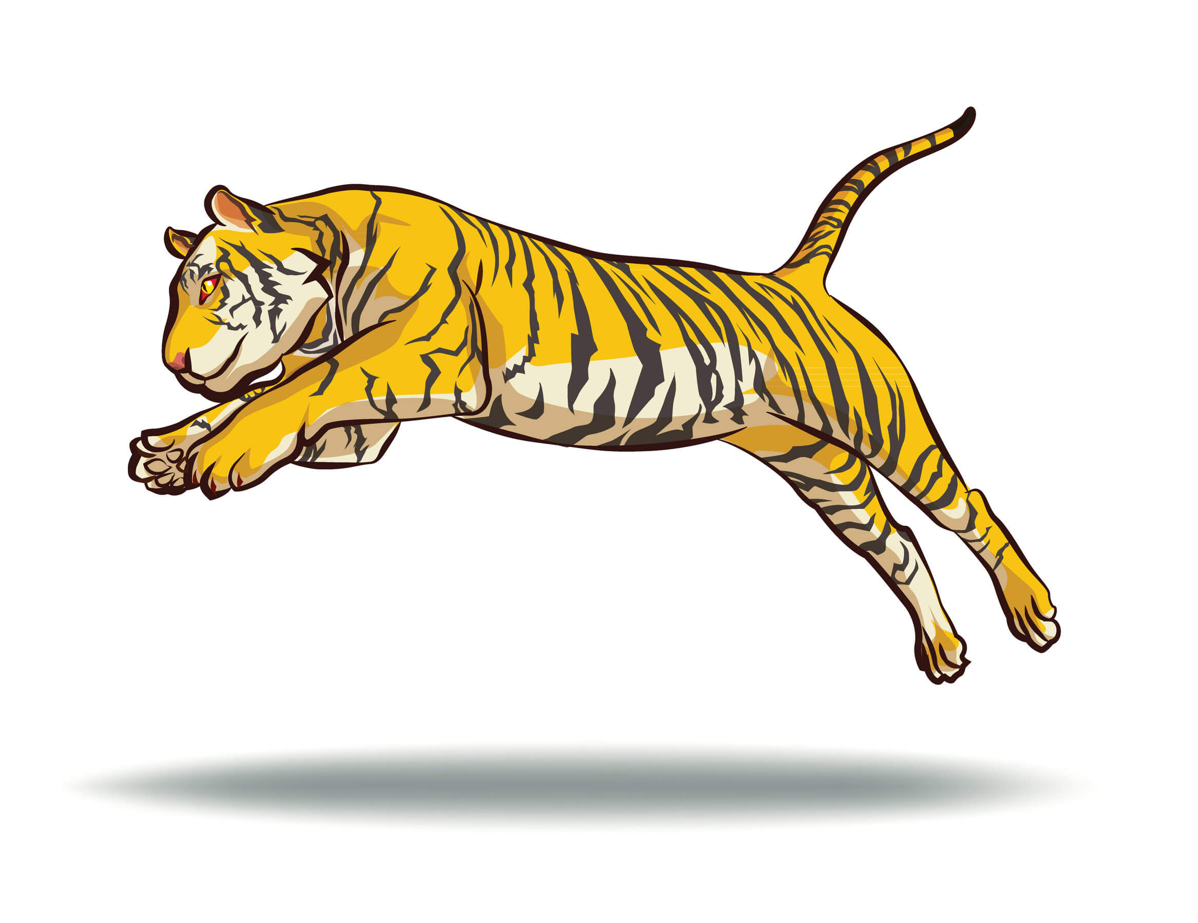 La imagen del tigre.