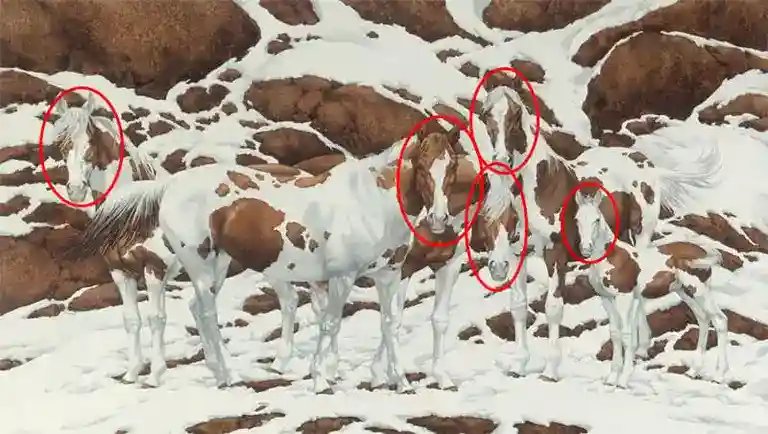 Test de los caballos resueltos.