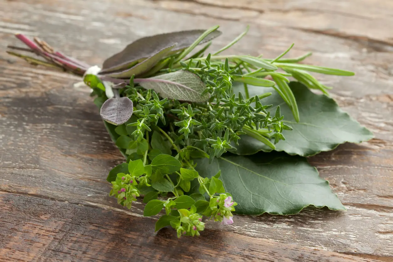 Bouquet garni con estragón.