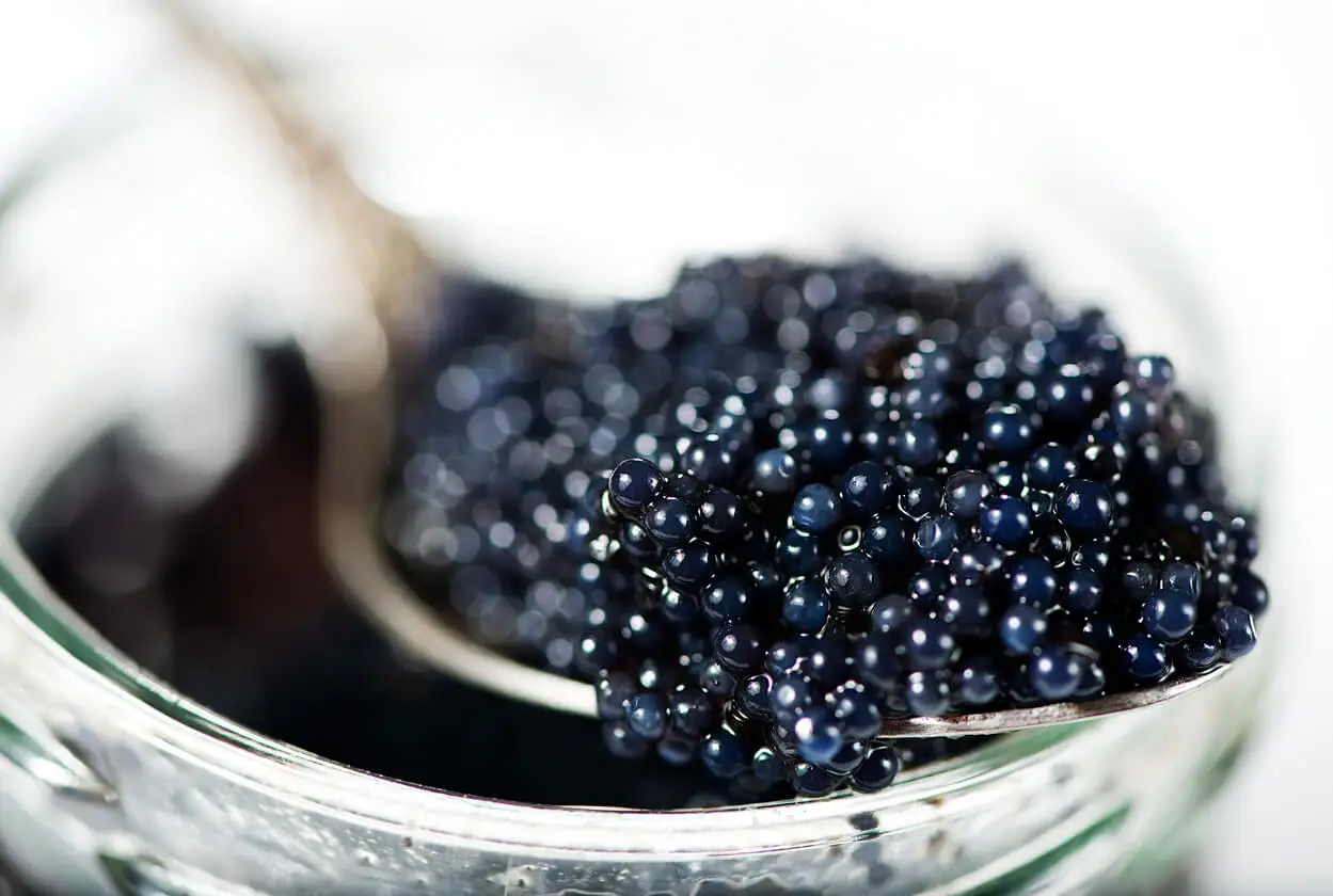 caviar preto.