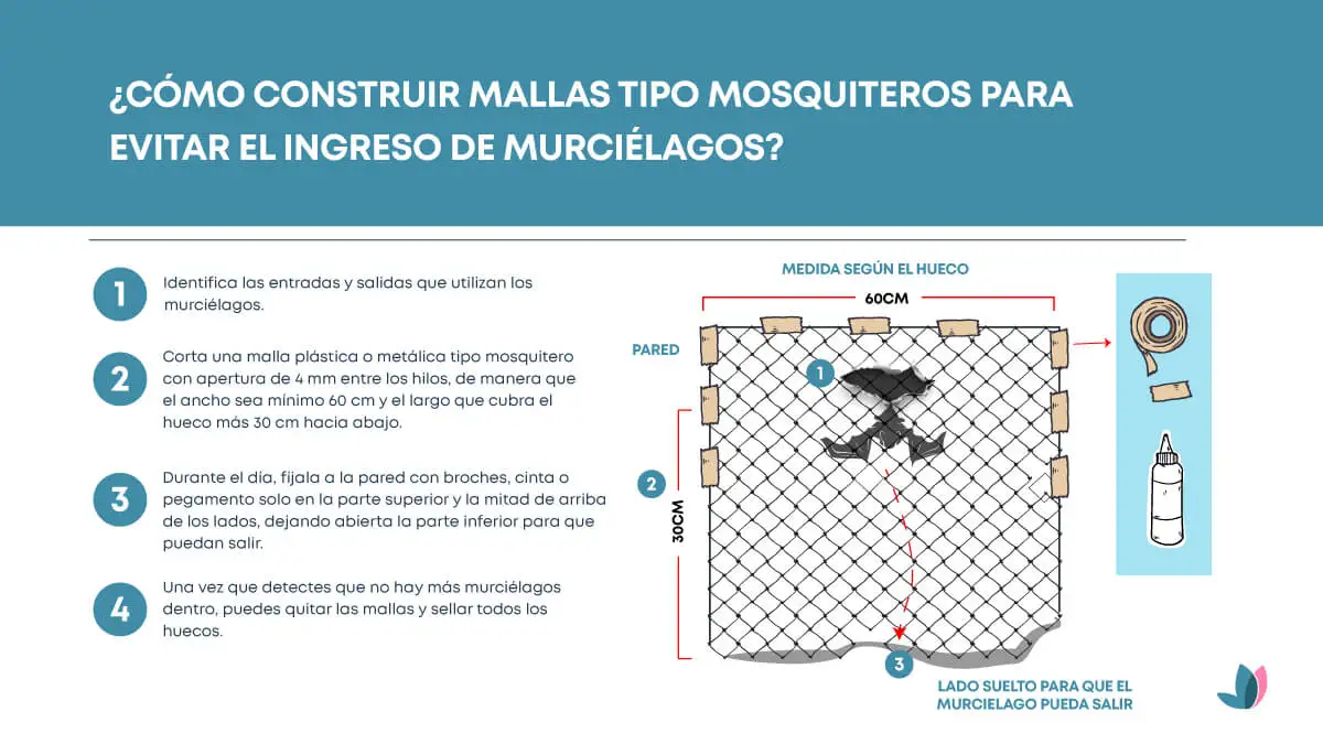 ¿Cómo construir mallas tipo mosquiteros para evitar el ingreso de murciélagos?