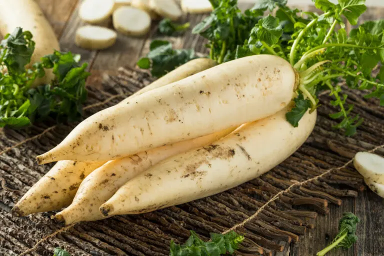 Daikon o rábano japonés: propiedades, usos y beneficios