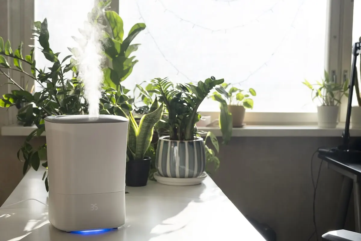 ¿Qué es un humidificador y cómo funciona?
