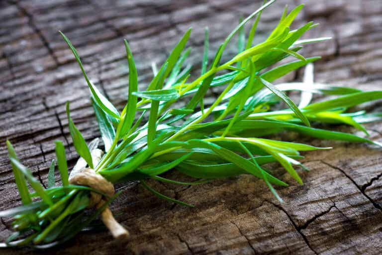 How to use tarragon in the kitchen?