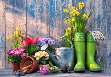 5 consejos para preparar tu jardín para la primavera