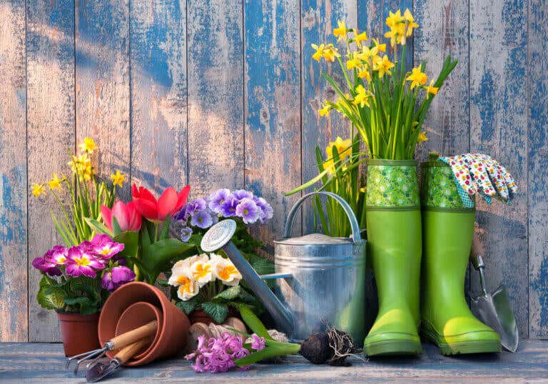 5 consejos para preparar tu jardín para la primavera