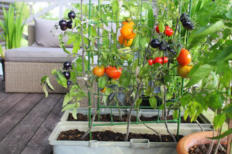 Cómo hacer un huerto urbano en un espacio pequeño